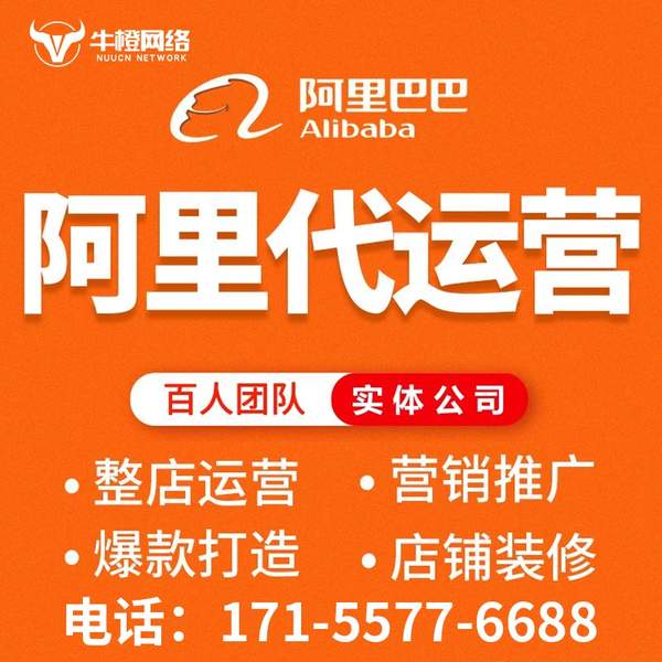 扬中电商代运营