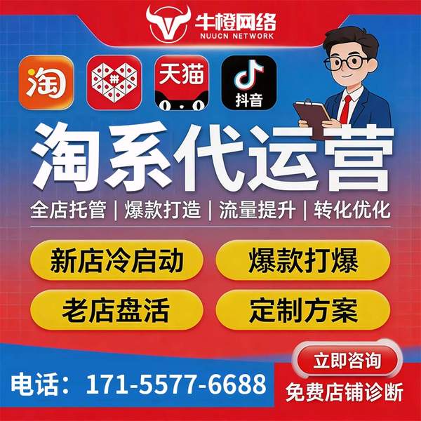扬中电商代运营