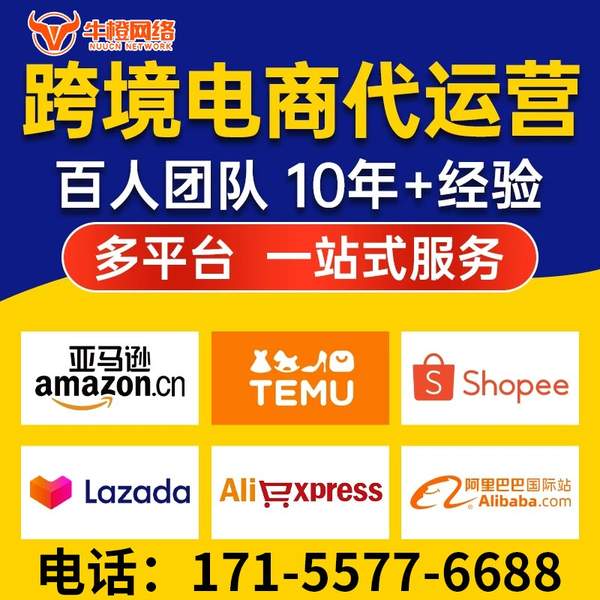 扬中电商代运营
