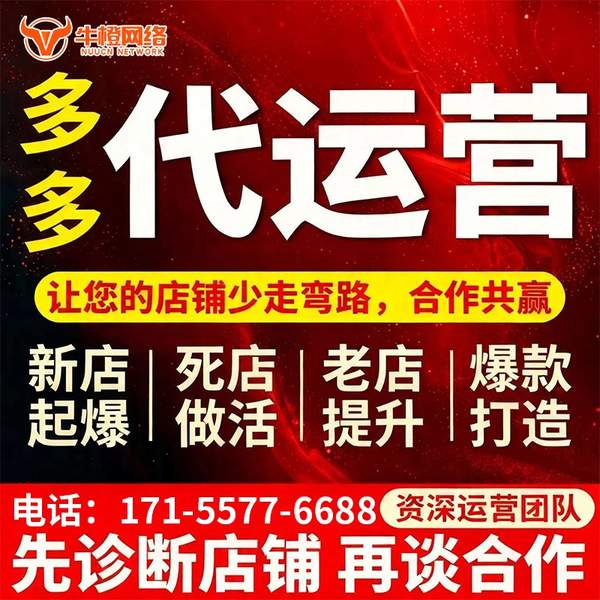 扬中电商代运营