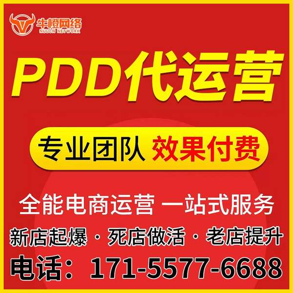 扬中电商代运营