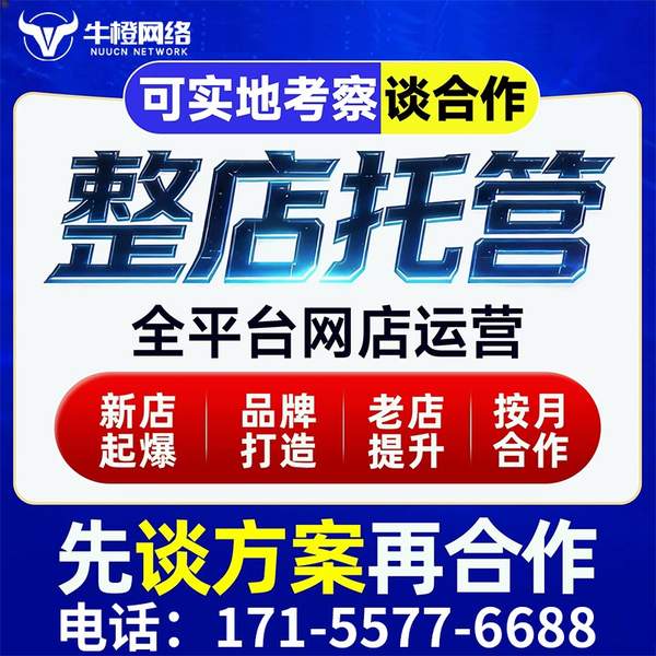扬中电商代运营
