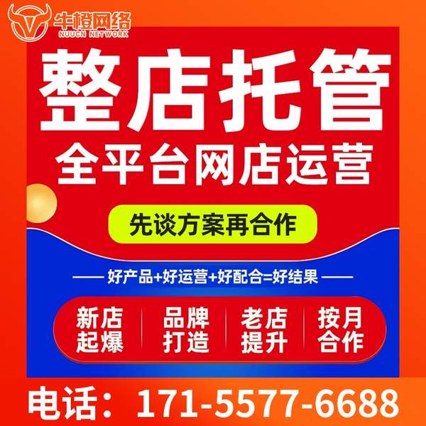 扬中电商代运营