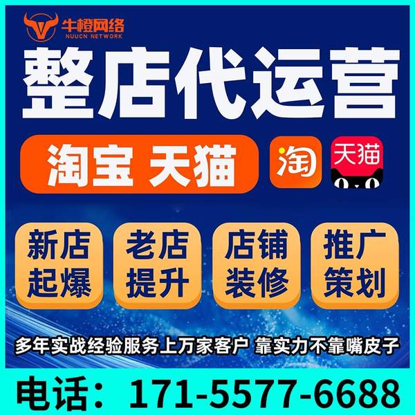 扬中电商代运营