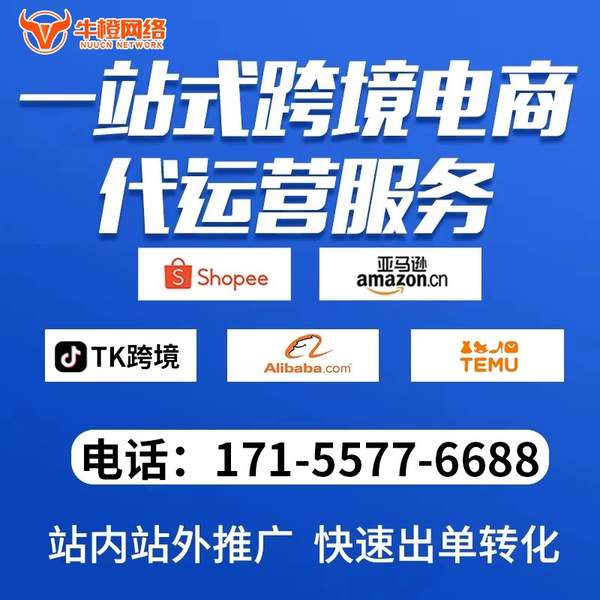扬中电商代运营