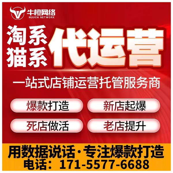 扬中电商代运营